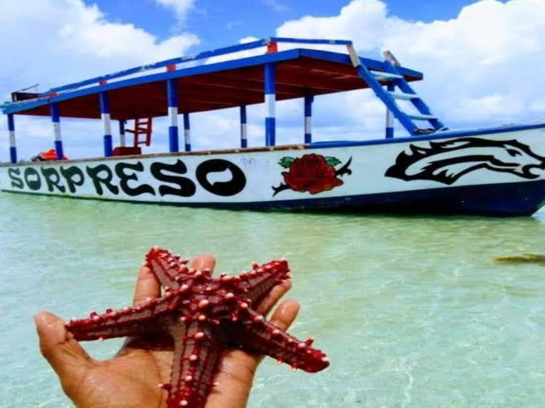snorkelling malindi